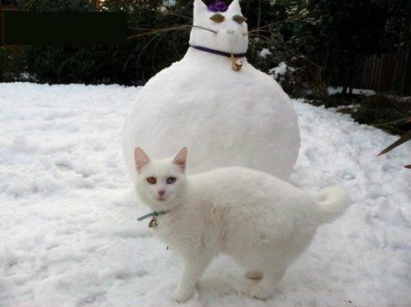 schneemann-katze.jpg