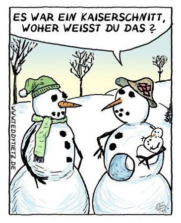 schneemann_kaiserschnitt_de_380.jpg