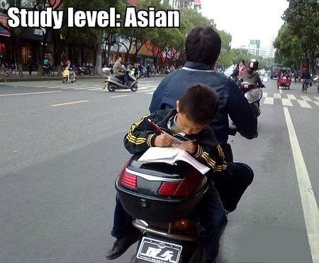 study-level-asian.jpg