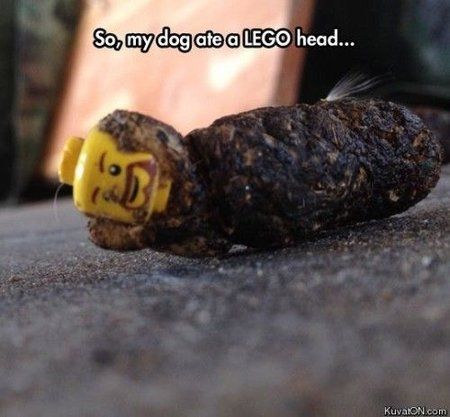 Lego.jpg