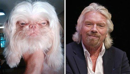 Richard-Branson-and-this-dog.jpg