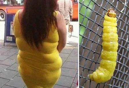 This-womans-outfit-and-this-caterpillar.jpg