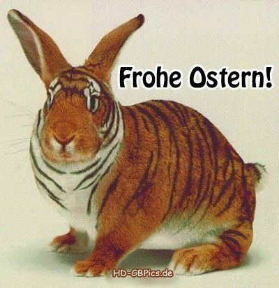 lustiges-zu-ostern-12.jpg