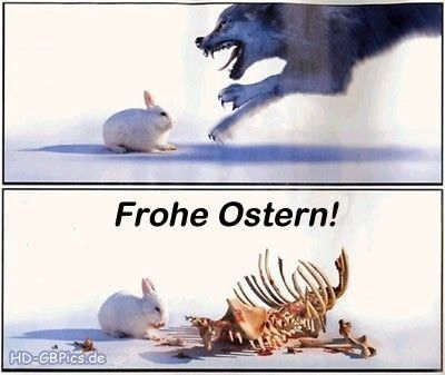 lustiges-zu-ostern-21.jpg