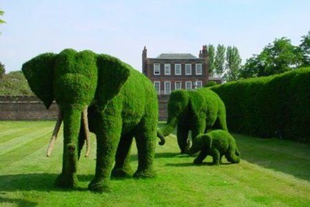 Elephant-Garden.jpg