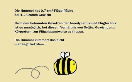 Hummel.jpg