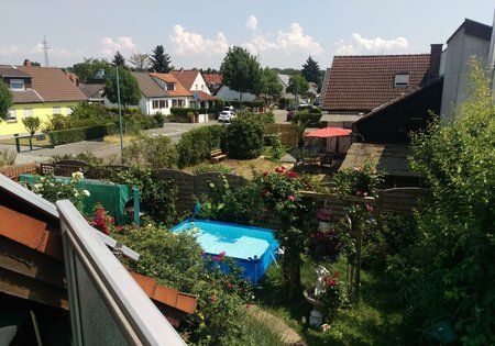 IMAG0047.jpg