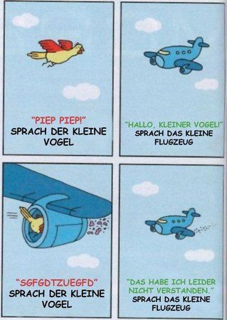 vogelflugzeug.jpg