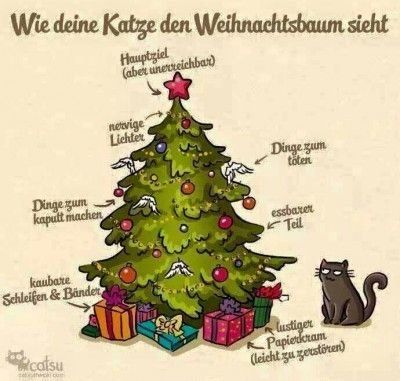 Weihnachstbaum Katze.jpg