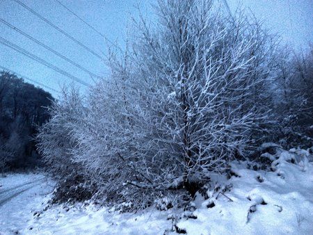 My_HDR_Camera_20160118_080420.jpg