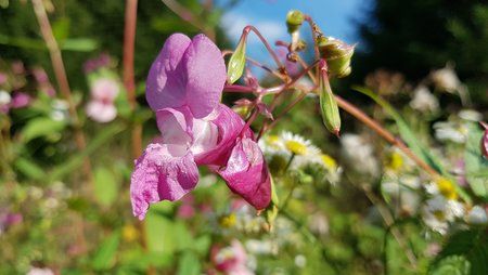20160909_163729.jpg