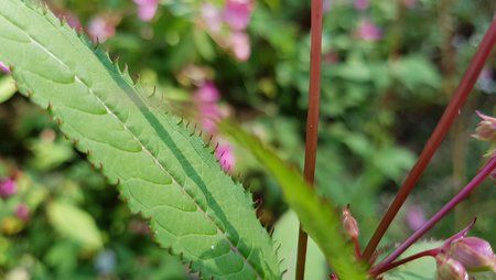 20160909_163810.jpg