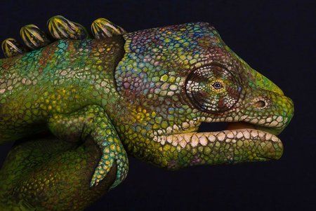 handimals-animals-painted-on-hands-guido-daniele-3.jpg