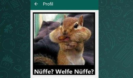 lustige-profilbilder-fuer-whatsapp-gallery-image-56cc3e4aa7e2d.jpeg