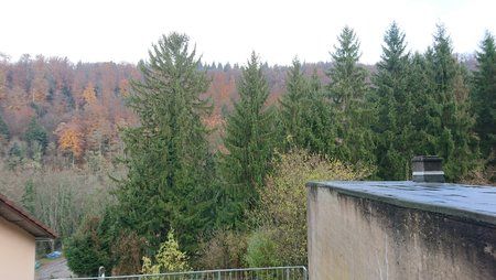 DSC_0023.JPG