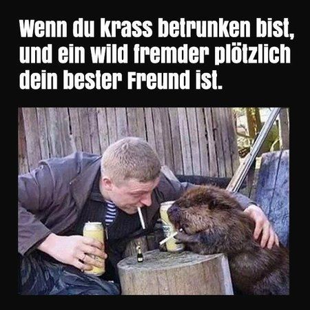 betrunken-witz-alkohol-lustig-witz-russe-dumm-tiere-1084577930.jpg