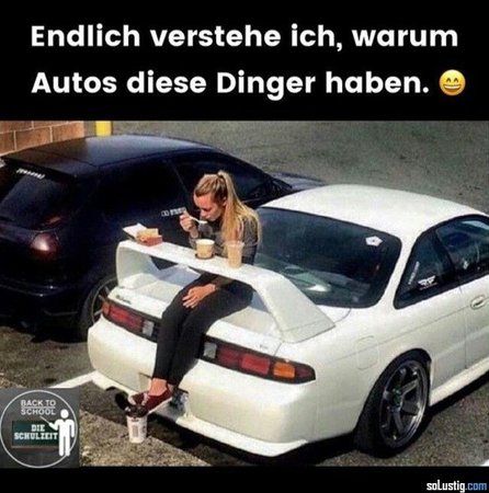 endlich-verstehe-ich-warum-autos-diese-dinger-haben.jpg