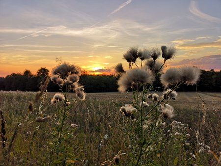 Sonnenuntergang01.jpg