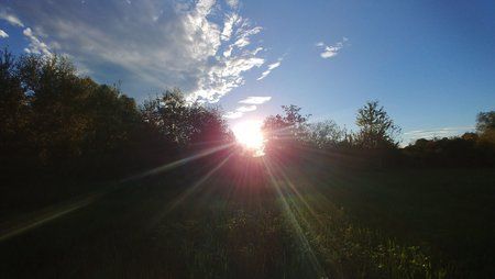 Foto_Modus_Gegenlicht_Automatik_Lens-Flare.jpg