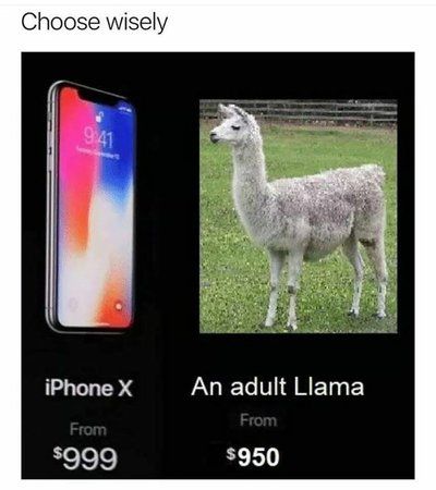 Apple_Lama.jpg