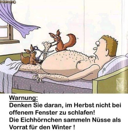 fun_nüsse_eichhörnchen.JPG