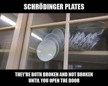 SchroedingerPlates.jpg