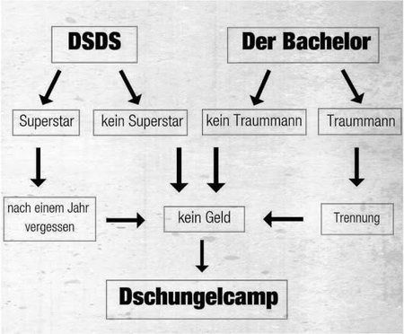 Dschungelcamp.jpg