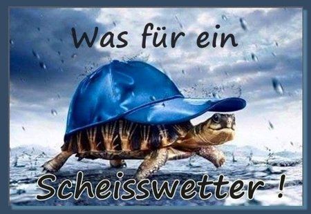 Scheiss-Wetter.jpg