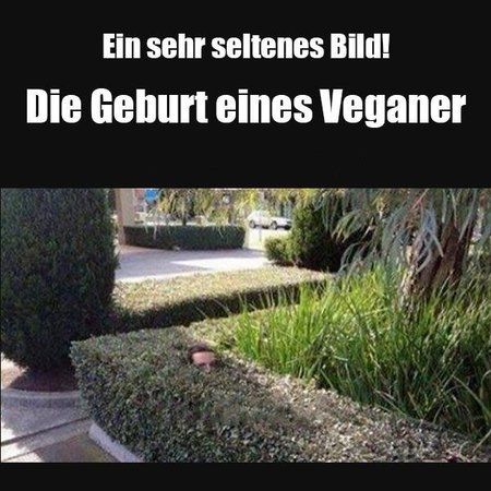 thumb_veganer-witz-lustig-bilder-whatsapp-facebook-1039985250.jpg