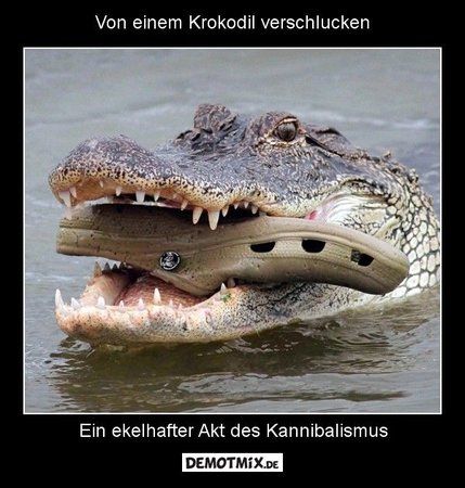 von_einem_krokodil_verschlucken_2018-06-12_10-04-23.jpg