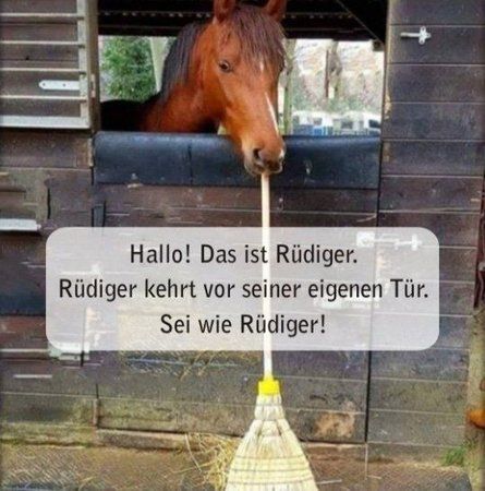 ruediger.jpg