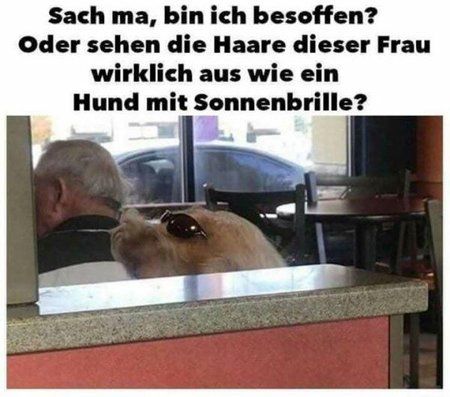 hund.jpg