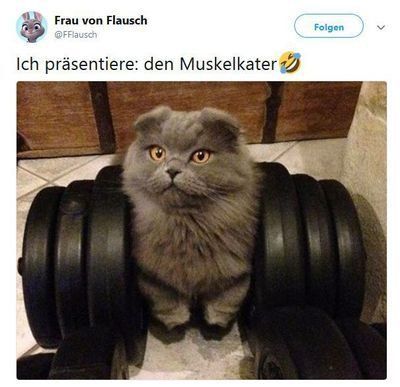 muskelkater.jpeg