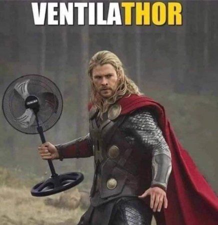 thor.jpg