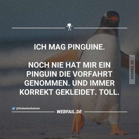 pinguine.jpg