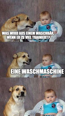 waschbaer.jpg