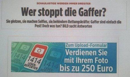 bild.jpg