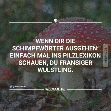 pilz.jpg