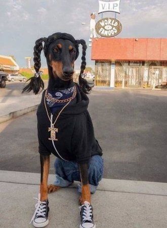 snoopdog.jpeg