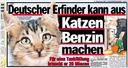 katzen.png