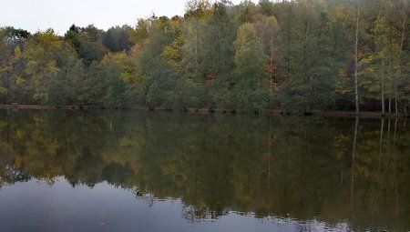 Spaziergang-am-Burbacher-Waldweiher_06.jpg