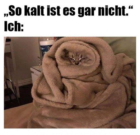 kalt.jpg