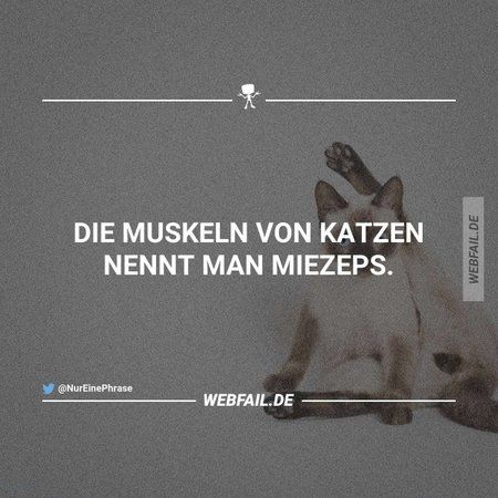 muskeln.jpg