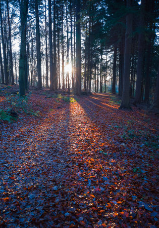 herbst.jpg