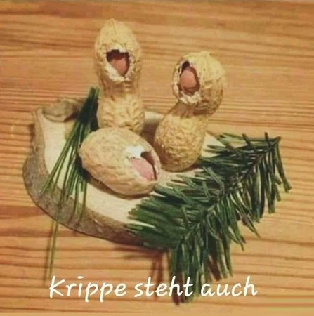 krippe.jpg