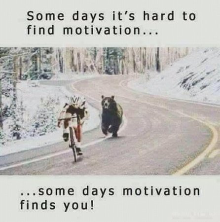 Motivation.jpg