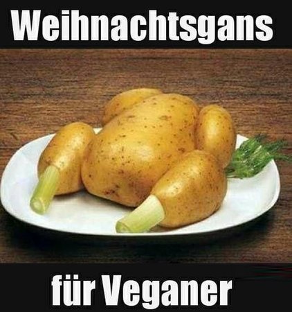 veganer_gans.jpg