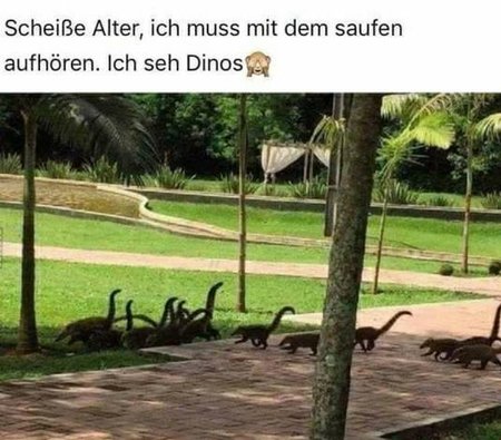 dinos.jpg