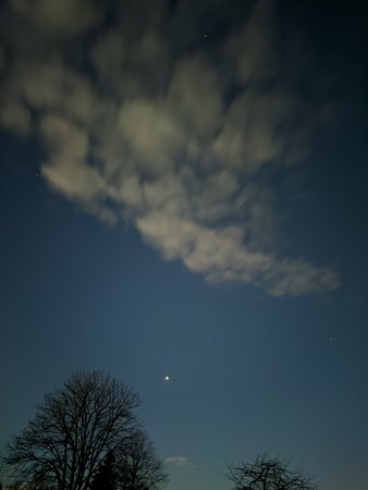 Venus IMG_20200309_202659.jpg