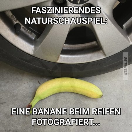 natur.jpg